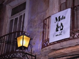 Mula Antigua serie-2